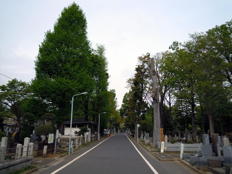 都立雑司ヶ谷霊園 - Image 6