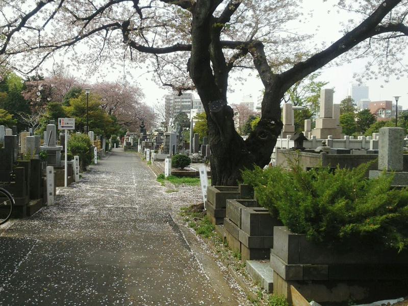 都立染井霊園 - Image 4