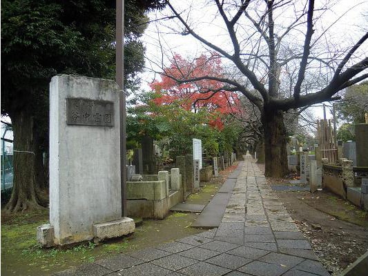 都立谷中霊園