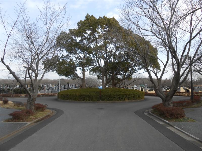 市原市営能満墓園 - Image 5