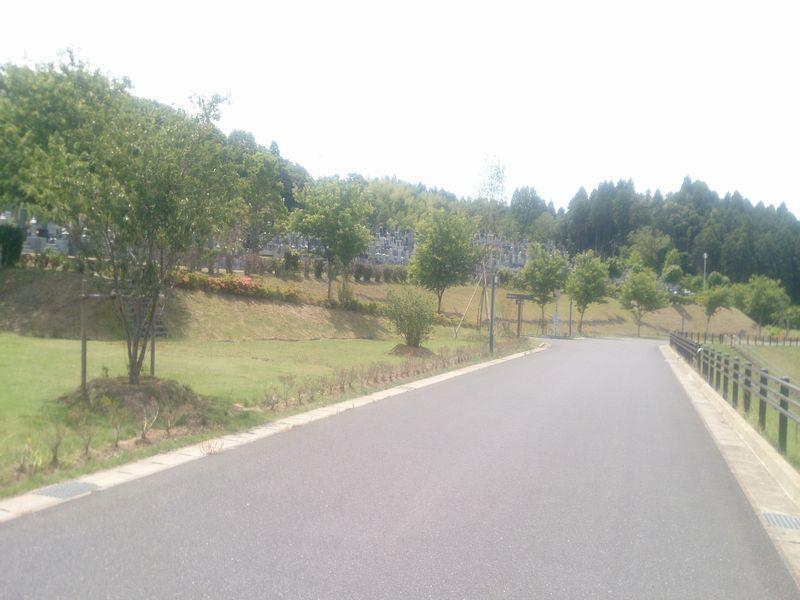 成田市営いずみ聖地公園 - Image 4