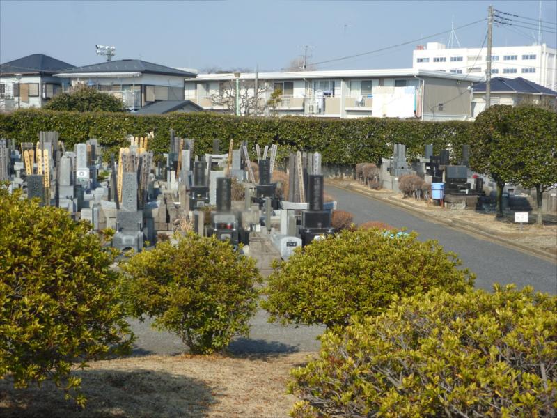 船橋市営習志野霊園 - Image 8