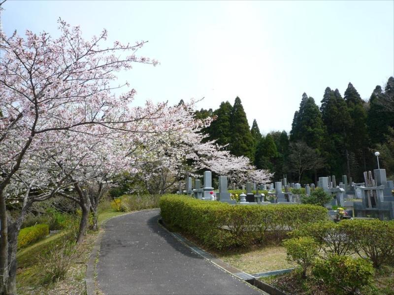 一宮町営 宮の森霊園 - Image 5