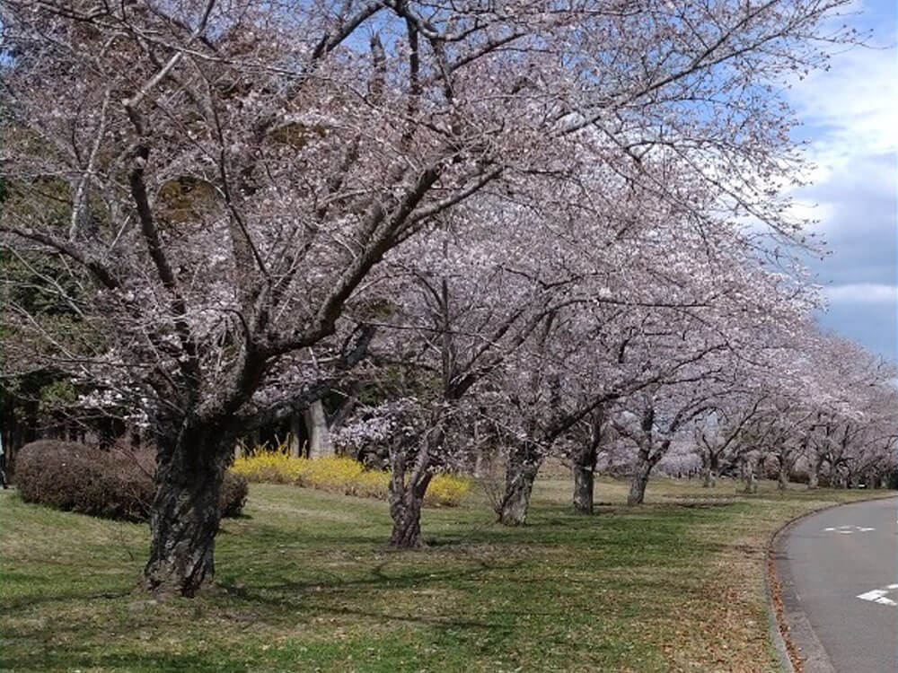 千葉市平和公園 - Image 8