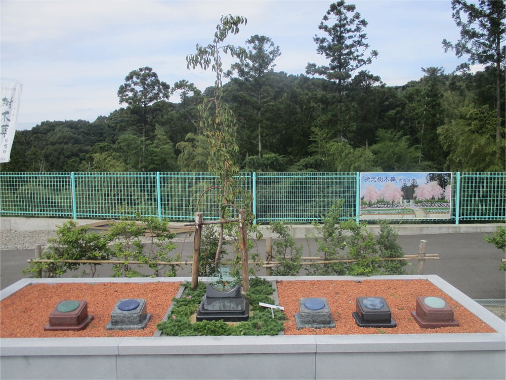 黒崎小嶺霊園 - Image 8
