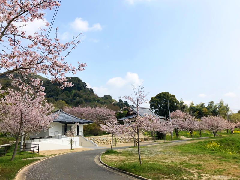 高城寺墓苑 - Image 3
