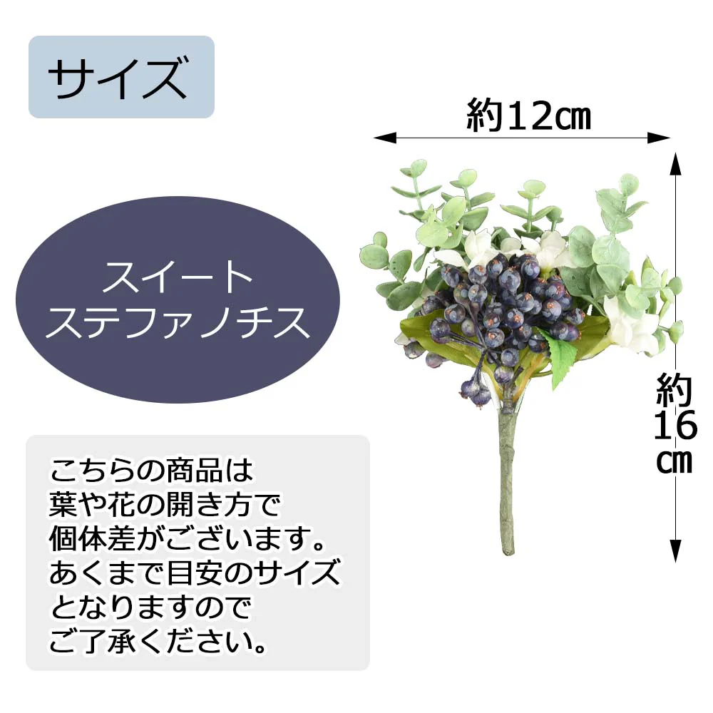 フラワーブーケ スイートステファノチス - Image 5