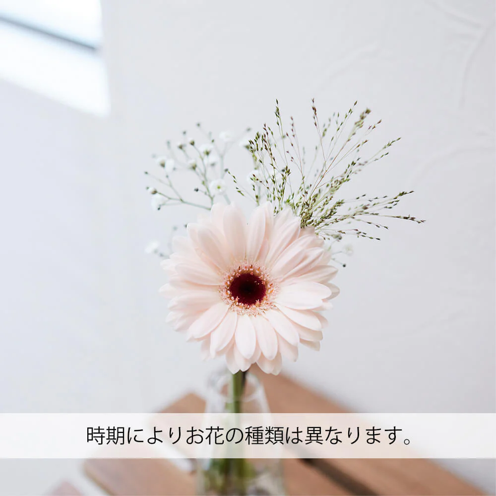 仏花の定期便(1回のみお試しプラン) 3本セット - Image 5