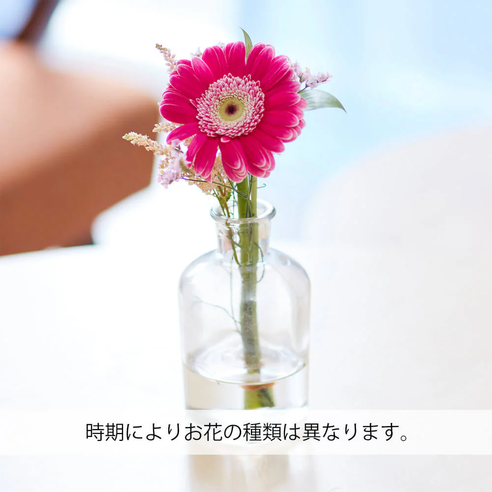 仏花の定期便(1回のみお試しプラン) 3本セット - Image 8