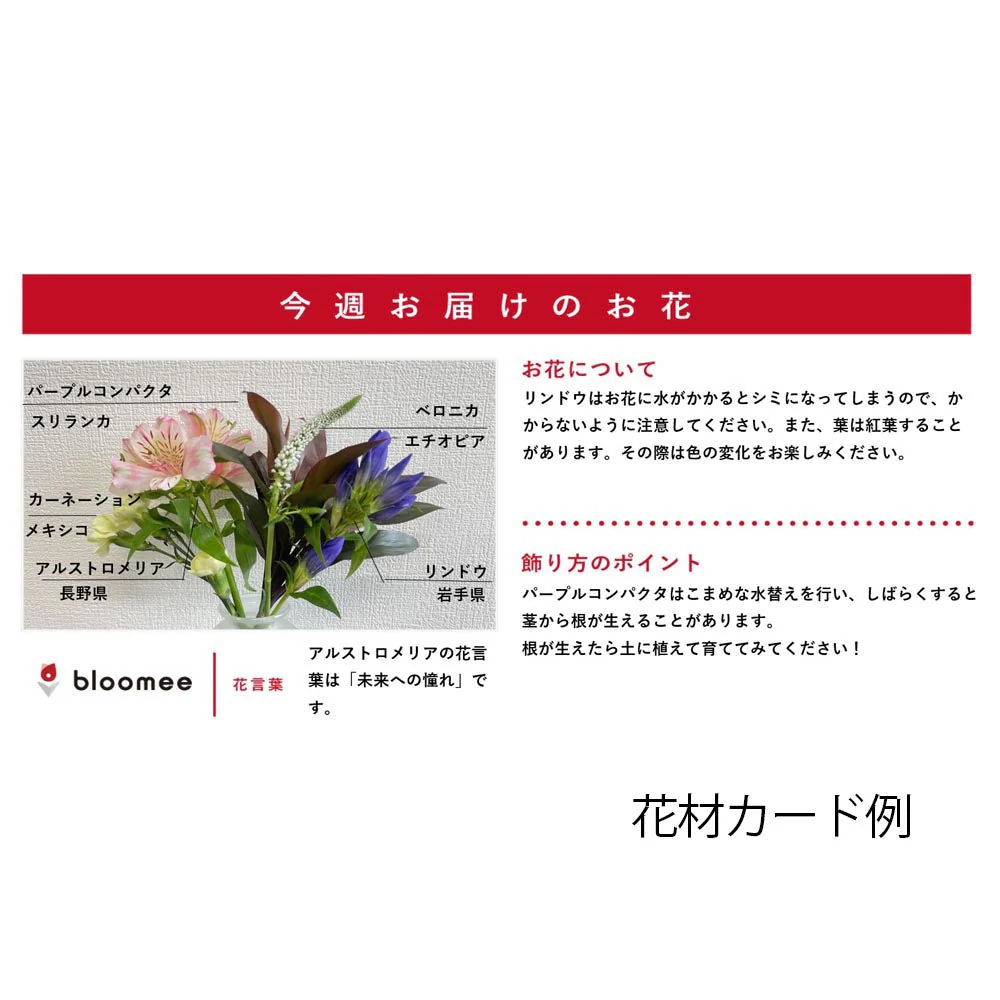 仏花の定期便(1回のみお試しプラン) 5本セット - Image 12