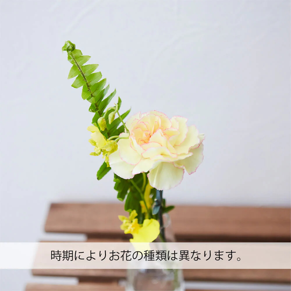 仏花の定期便(週1回・隔週プラン) 3本セット - Image 6