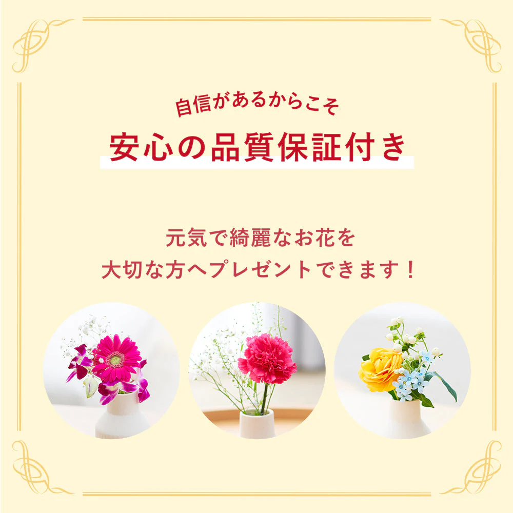 仏花の定期便 5本+少煙線香コース 澄華(ちょうか) - Image 15