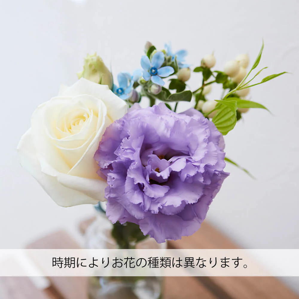 仏花の定期便 5本+少煙線香コース 澄華(ちょうか) - Image 7
