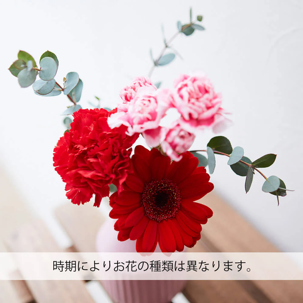 仏花の定期便(月1回プラン) 5本セット - Image 5