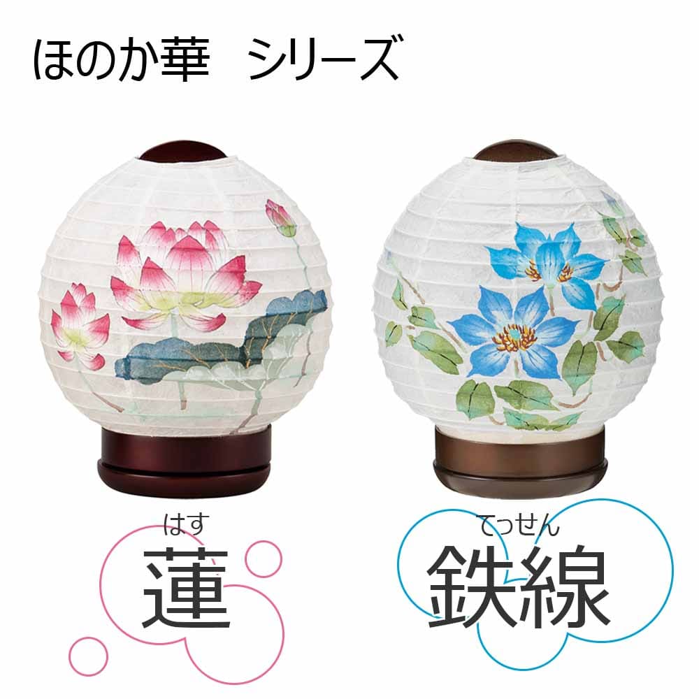 新型 ほのか 華1号 蓮 - Image 7