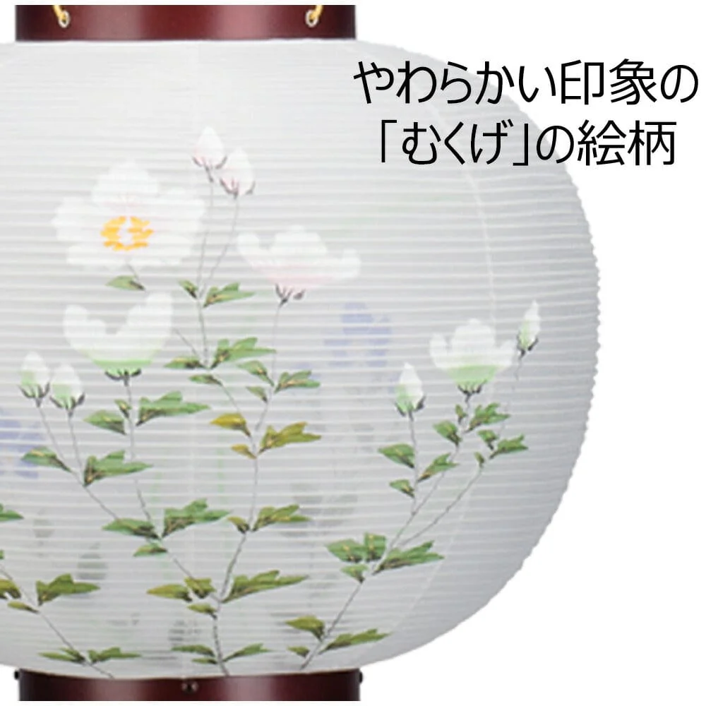 姫行灯 特９号 むくげ - Image 5