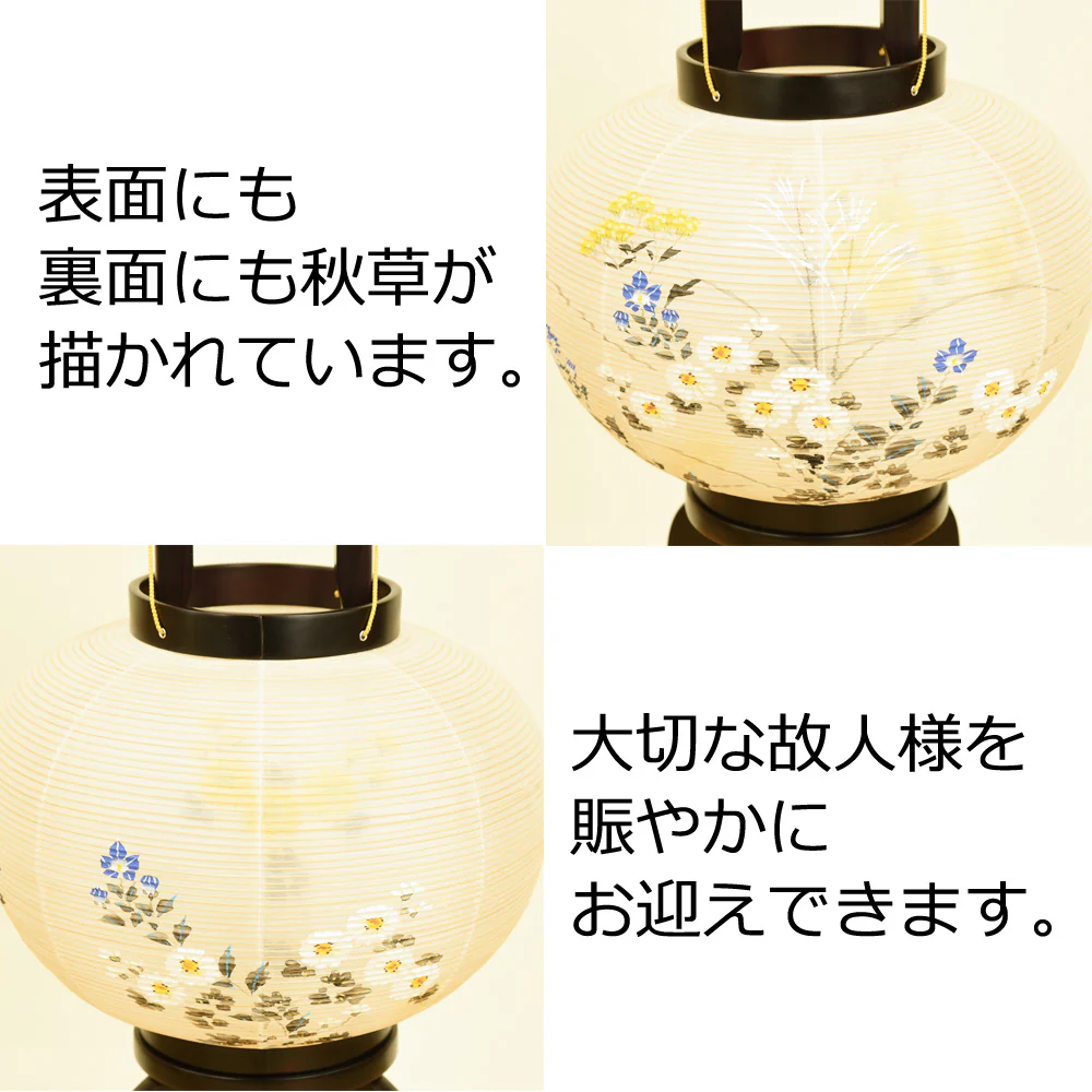 姫行灯 二重 総黒檀 10号 - Image 3