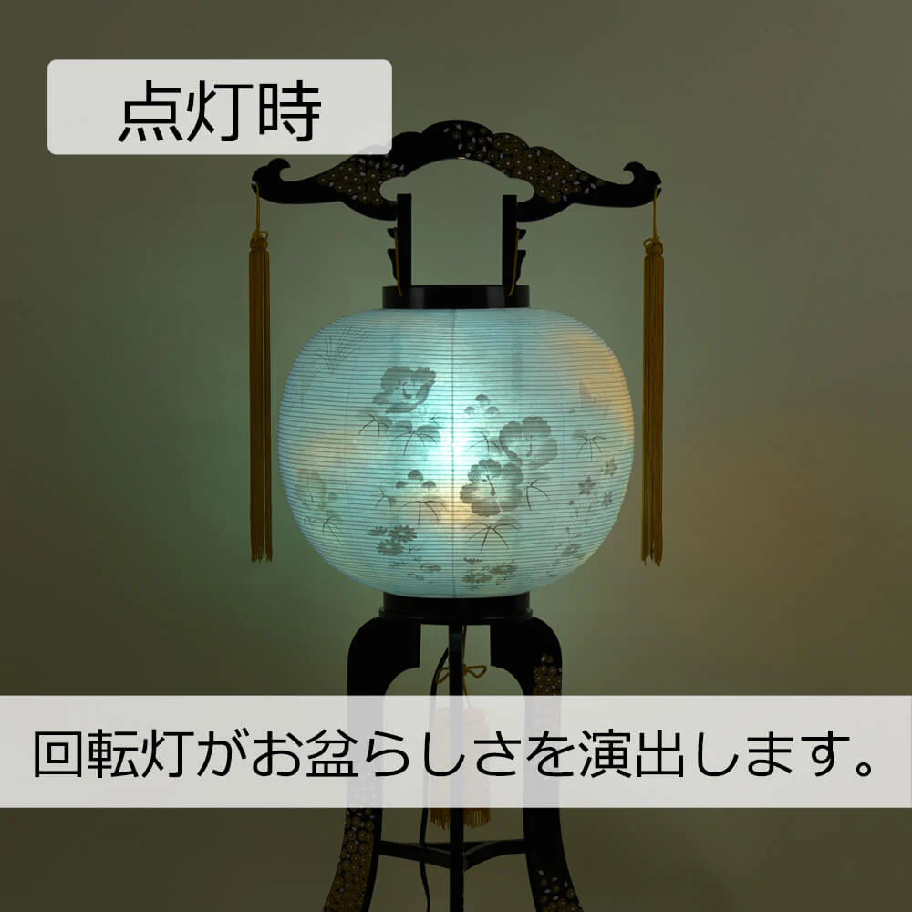 回転 白秋 - Image 4