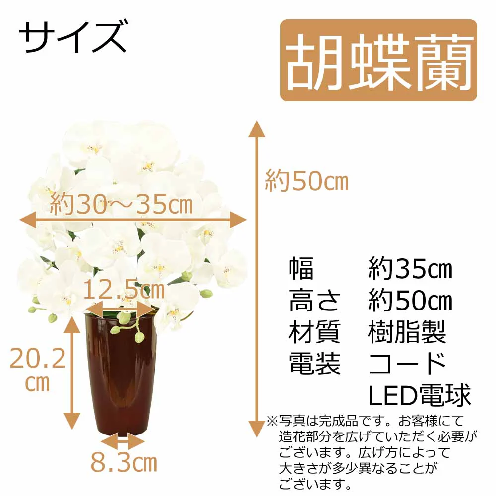 新型 らん プレミアム - Image 2