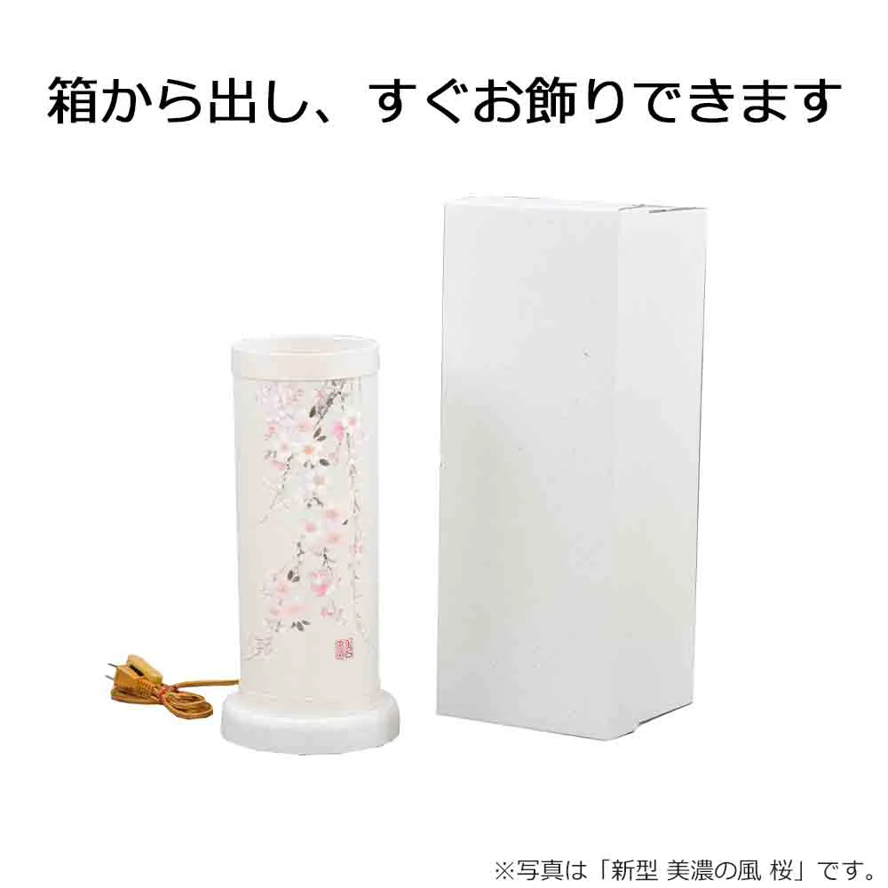 新型 美濃の風 桔梗 - Image 6