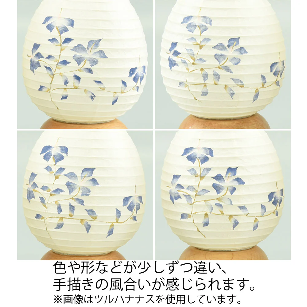 新型 ココラン 金魚 - Image 4