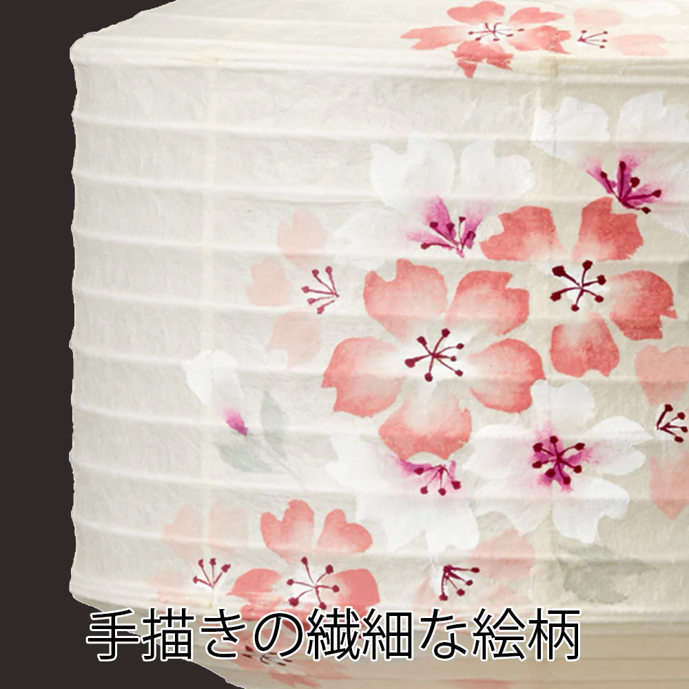 新型 ココラン 古典桜 - Image 3