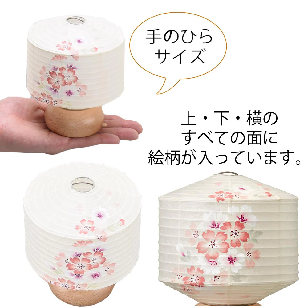 新型 ココラン 古典桜 - Image 5