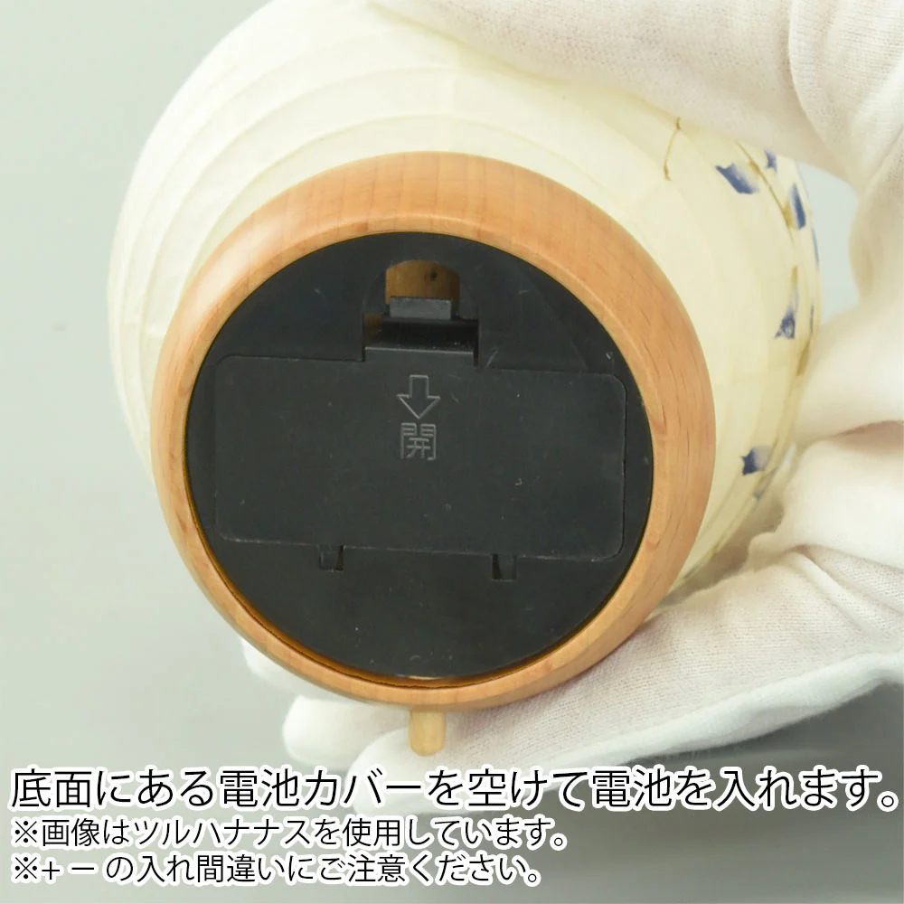 新型 ココラン 古典桜 - Image 7