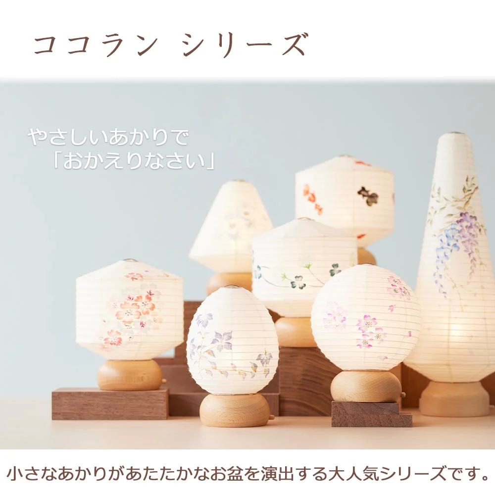 新型 ココランツリー 藤 - Image 8