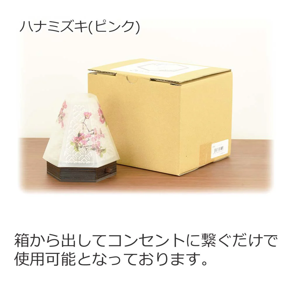 新型 六花灯 コンペイトウ・ハナミズキ - Image 14