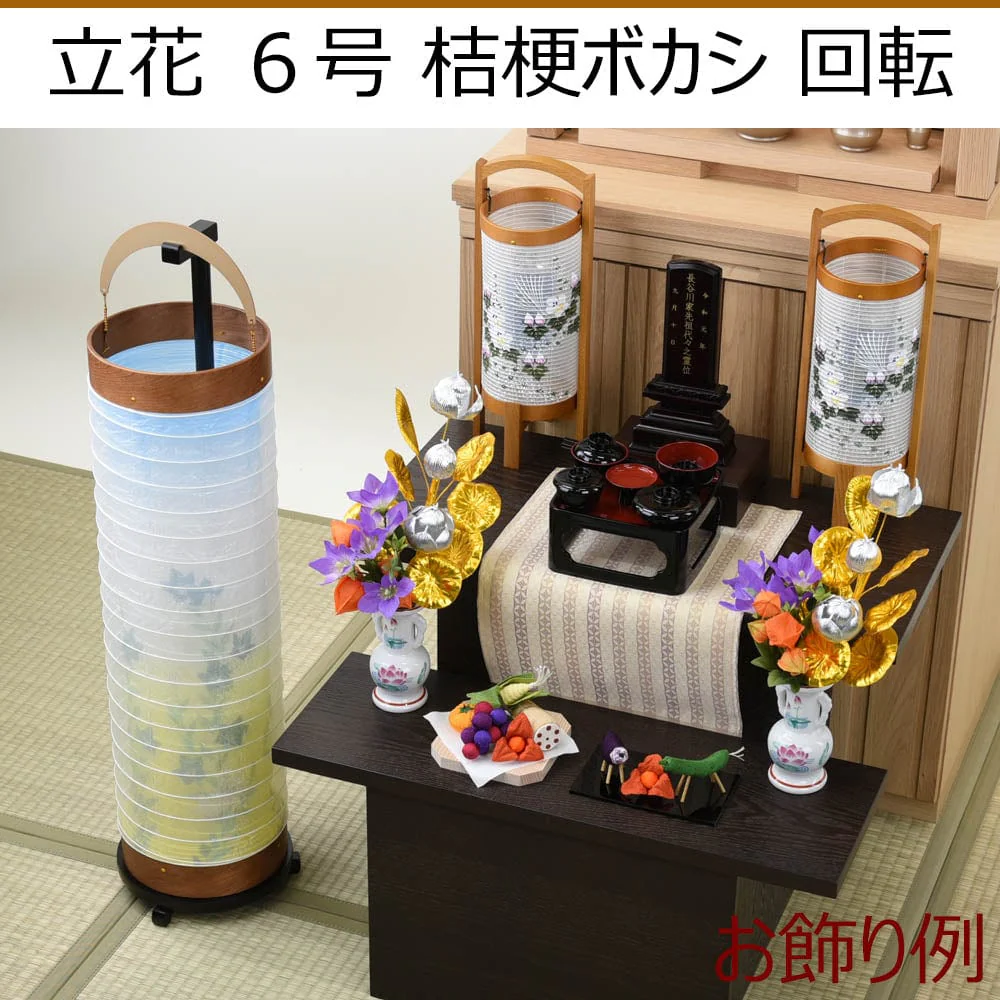 新型 立花6号 桜 絹二重 - Image 7
