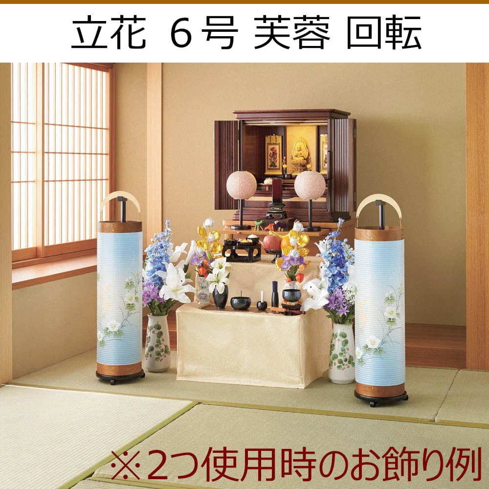 新型 立花6号 桜 絹二重 - Image 8