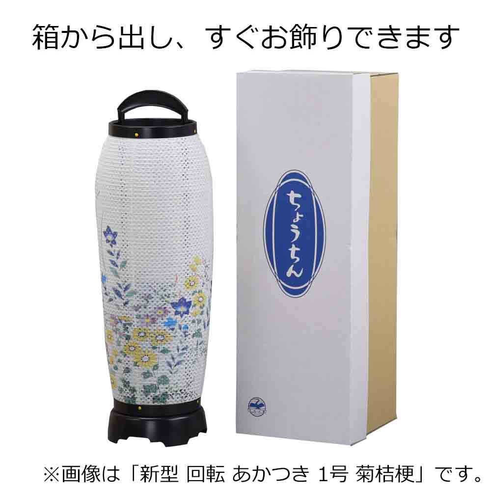 回転 あかつき 1号 菊桔梗 - Image 6
