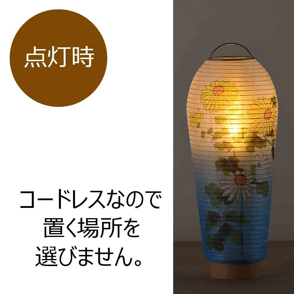 新型 小珠 美濃菊 - Image 4