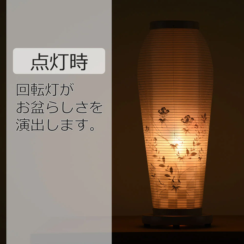 新型 はごろも4号 ホワイト - Image 4