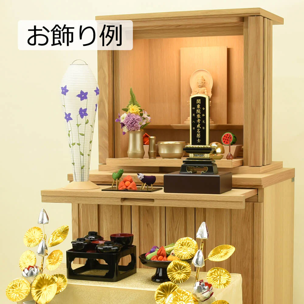 新型 ファロス ききょう - Image 5