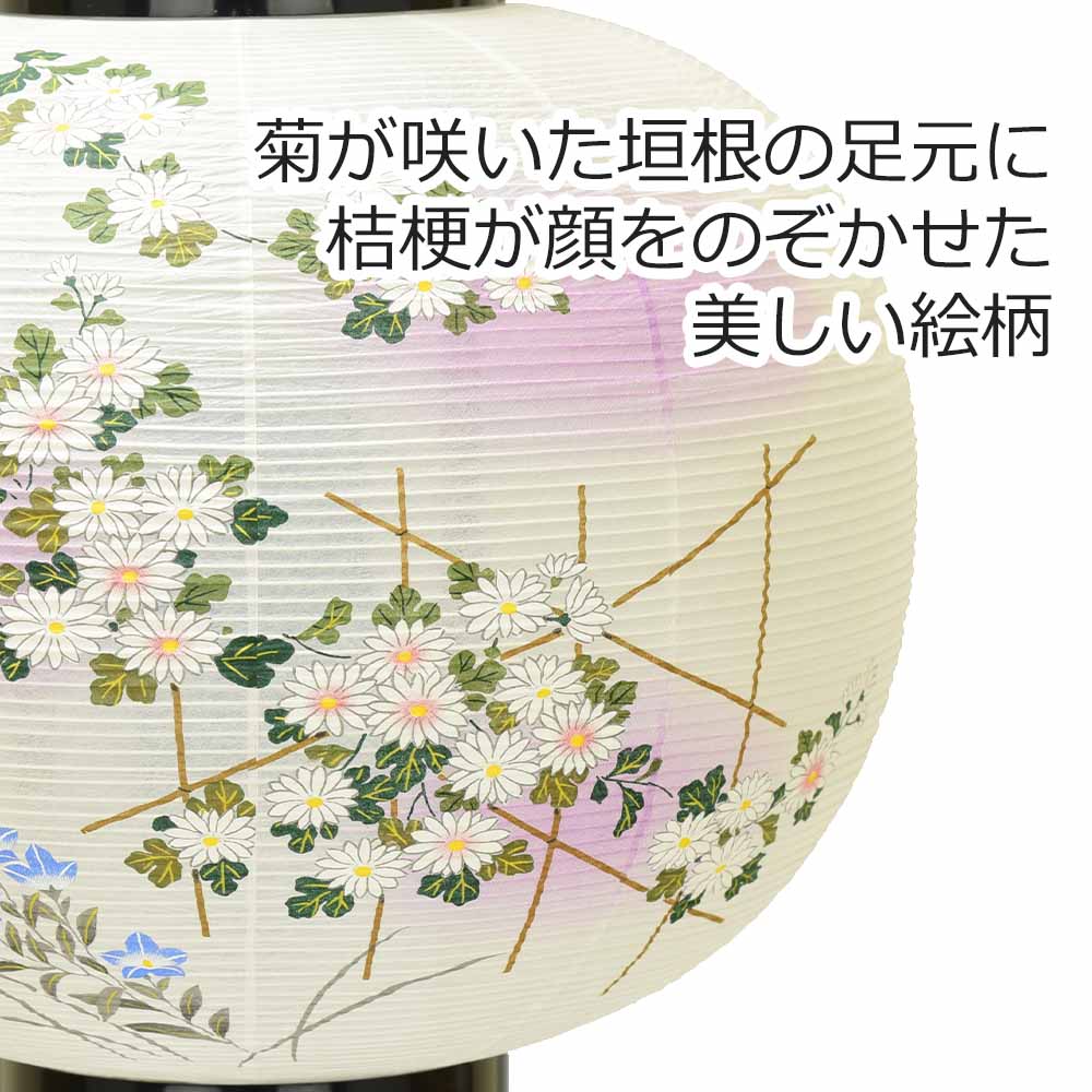 回転 あかり 綾型 12号 蒔絵絵入 - Image 3