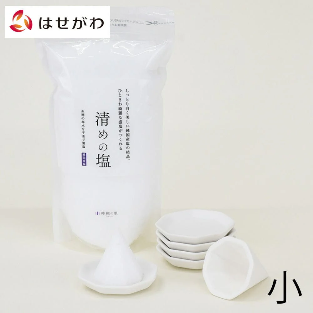 八角 盛り塩セット 小 清めの塩500g付き
